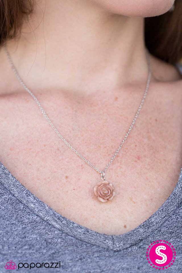 summer-rose-brown-p2da-bnxx-047xx