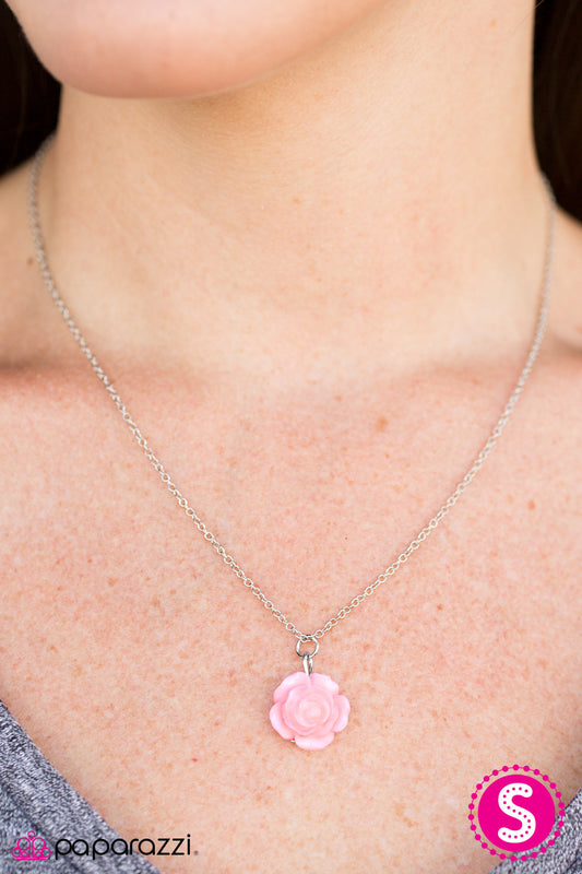 summer-rose-pink-p2da-pkxx-073xx