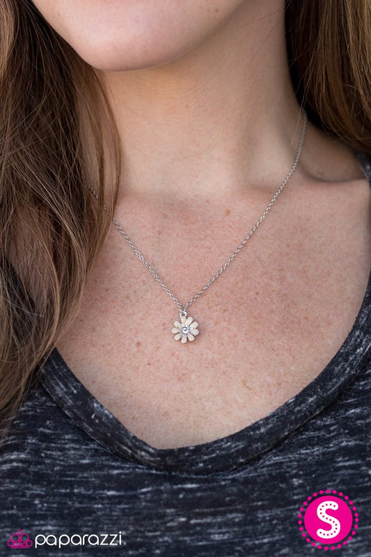 flower-formal-brown-p2da-bnxx-049xx