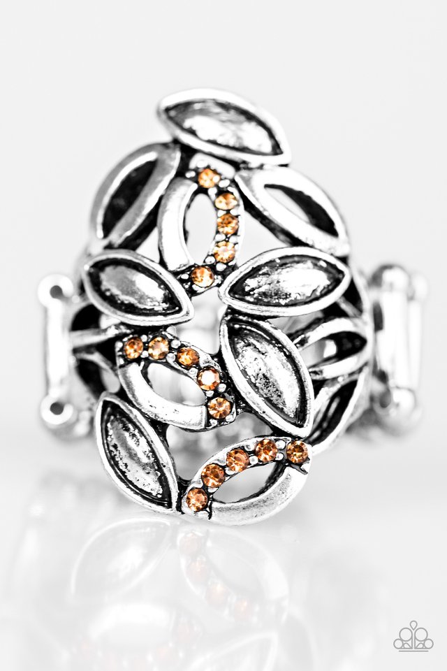 autumn-awe-brown-p4wh-bnxx-085xx