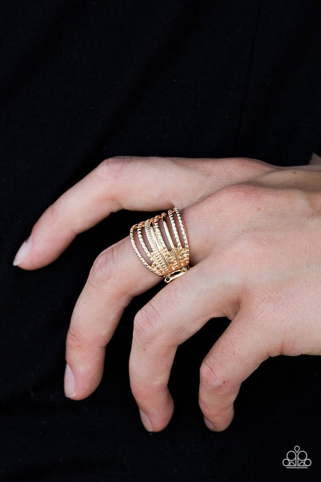 Paparazzi ♥ Treasured Texture - Gold ♥ Ring