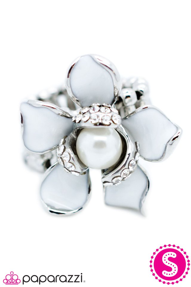 Paparazzi ♥ Nestled in Opulence - Silver ♥ Ring