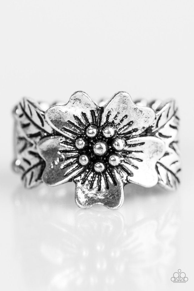 rio-retreat-silver-p4wh-svxx-087xx