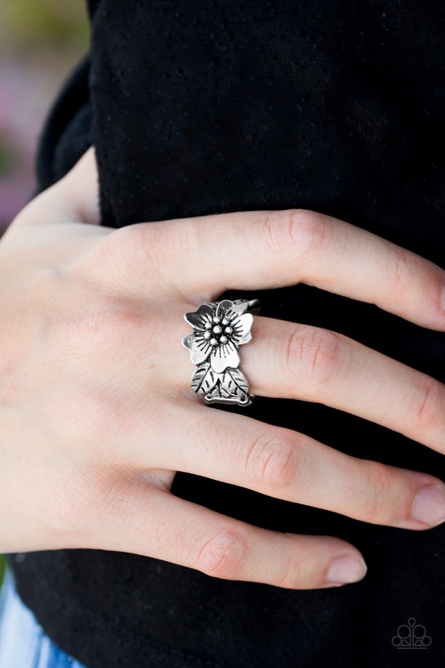 Paparazzi ♥ Rio Retreat - Silver ♥ Ring