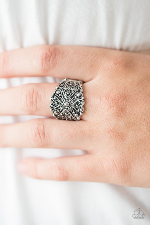 Paparazzi ♥ Radiantly Rustic - Silver ♥ Ring