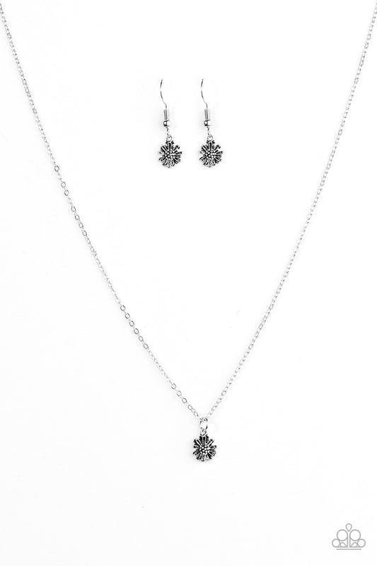 carnation-coronation-silver-p2da-svxx-141xx