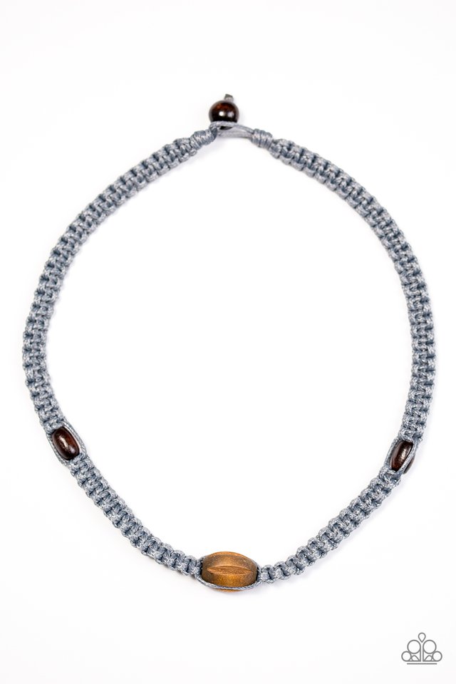 summer-surfin-silver-p2ur-svxx-022xx