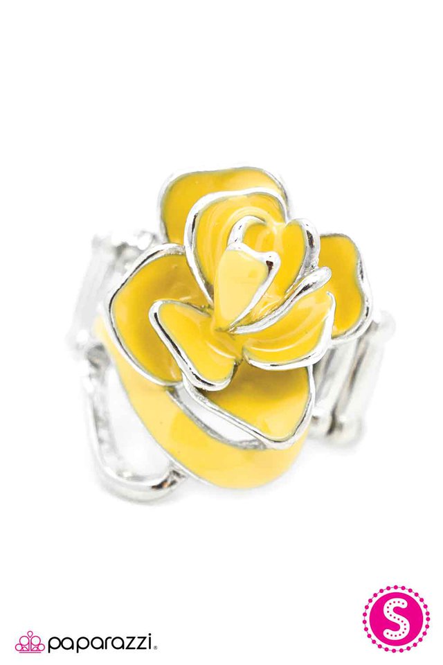 Paparazzi ♥ Coming Up Roses - Misted Yellow ♥ Ring