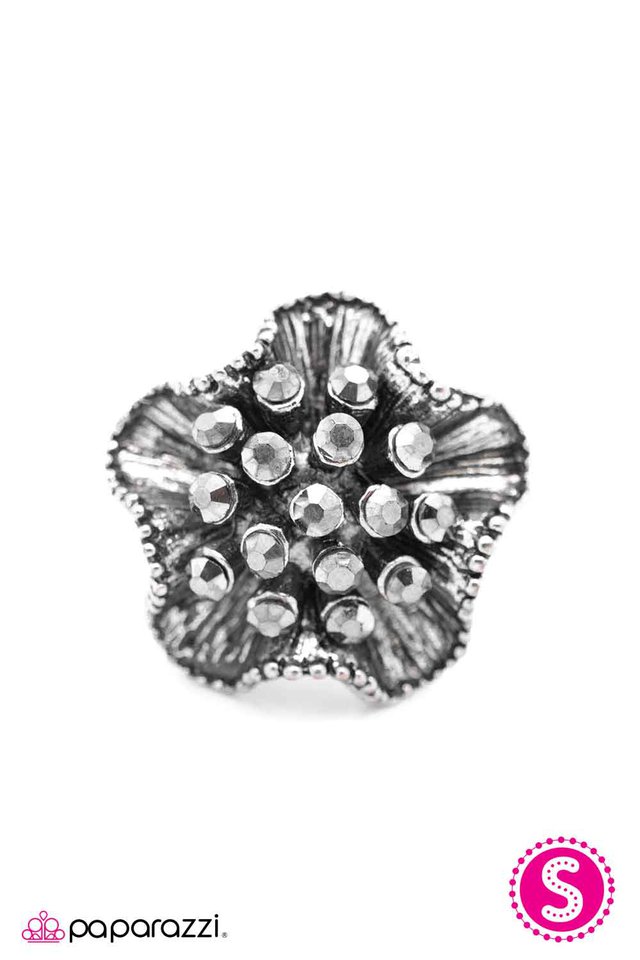 Paparazzi ♥ Ruffled and Radiant - Silver ♥ Ring
