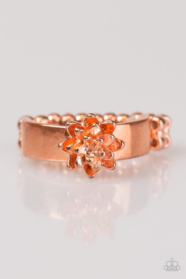 autumn-gardens-copper-p4wh-cpsh-067xx