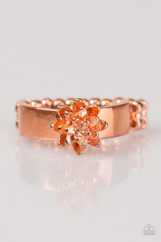 autumn-gardens-copper-p4wh-cpsh-067xx