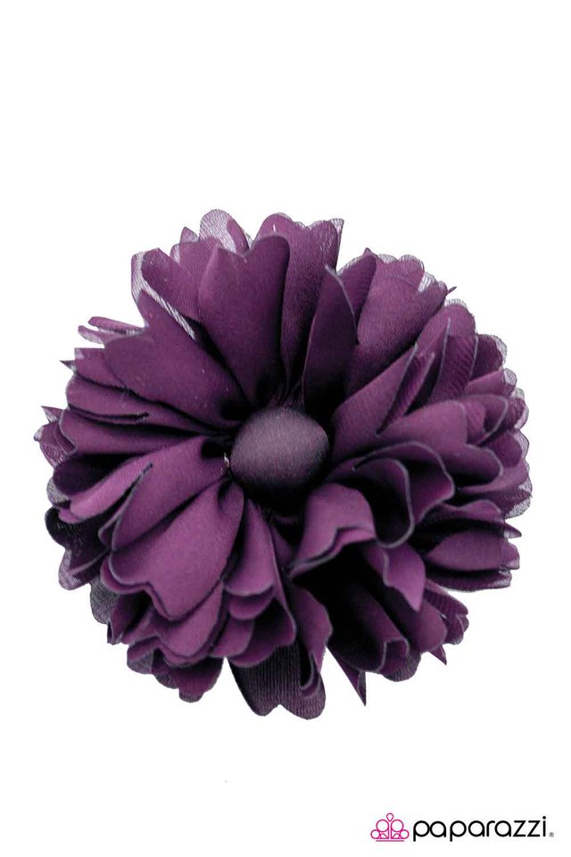 Paparazzi ♥ Nestled in Plum - Purple ♥ Hair Clip