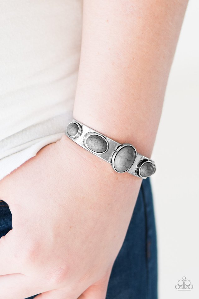 Paparazzi ♥ Laws Of Nature - Silver ♥ Bracelet