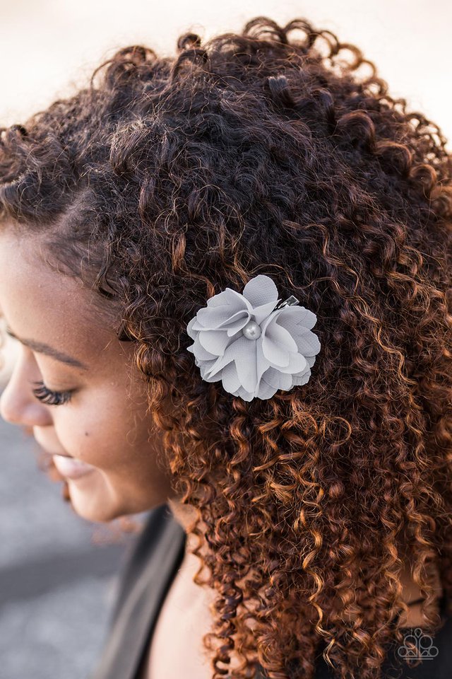 Paparazzi ♥ Winter Formal - Silver ♥ Hair Clip