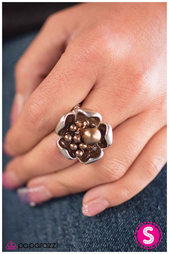 settle-in-p4da-bnsv-004xx