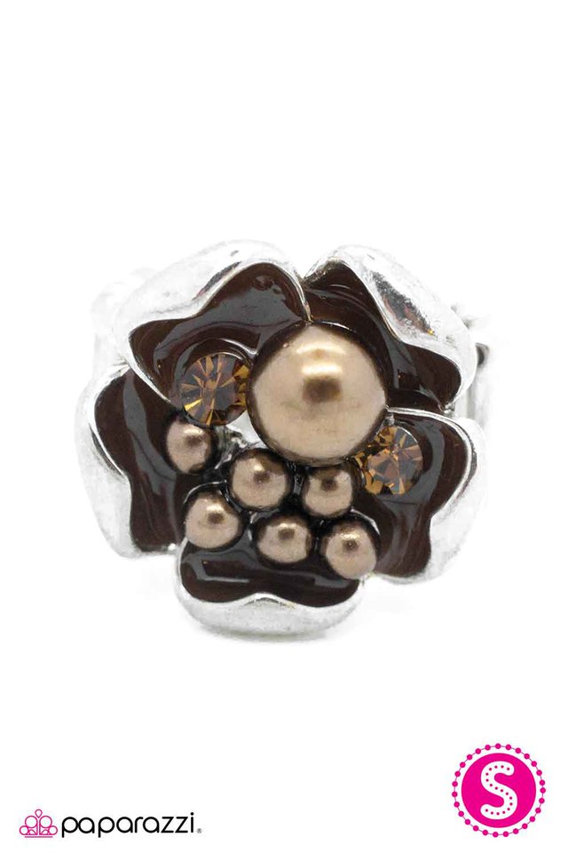 Paparazzi ♥ Settle In - Brown ♥ Ring