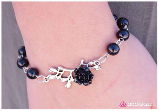 sugar-and-spice-black-p9da-bksv-001xx