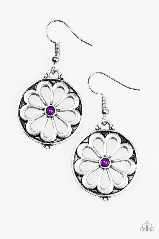 common-daisy-purple-p5wh-prxx-120xx