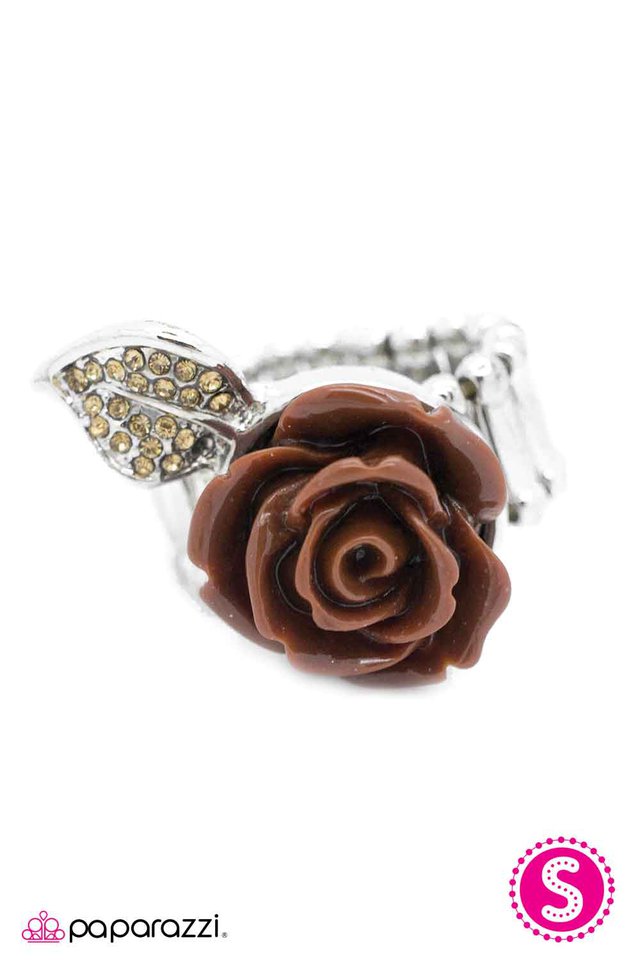 Paparazzi ♥ Vintage Vision - Brown ♥ Ring