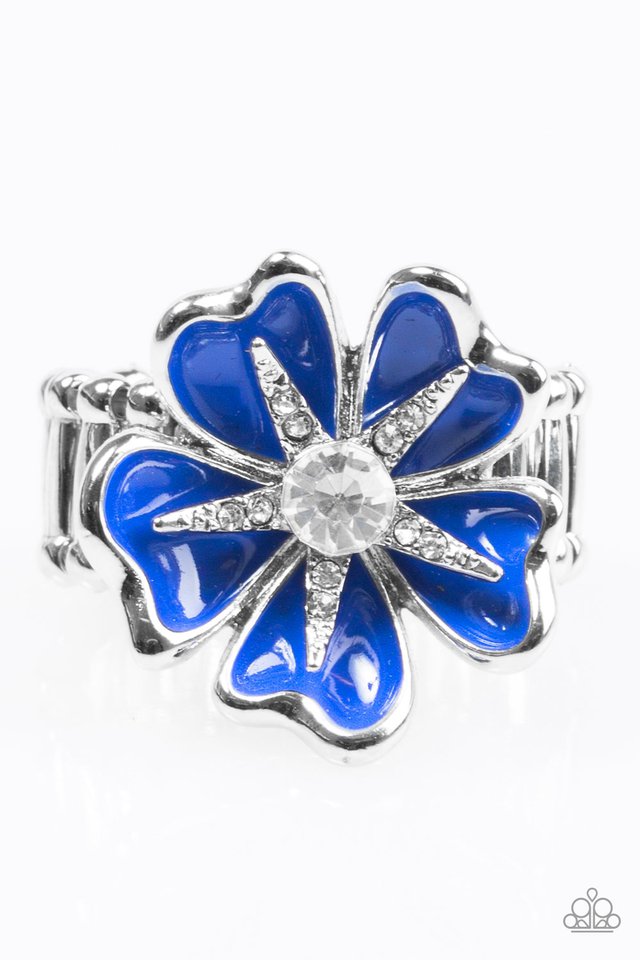sunbeam-lily-blue-p4wh-blxx-114xx