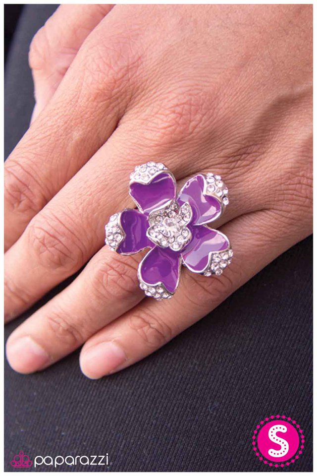blooming-elegance-purple-p4wh-prsv-005xx