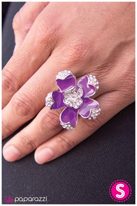 blooming-elegance-purple-p4wh-prsv-005xx