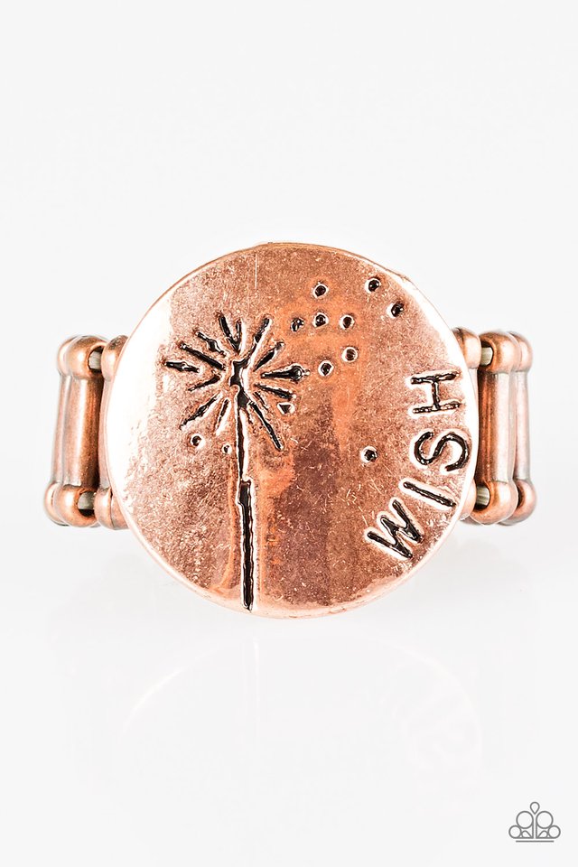 never-stop-wishing-copper-p4wd-cpxx-040xx