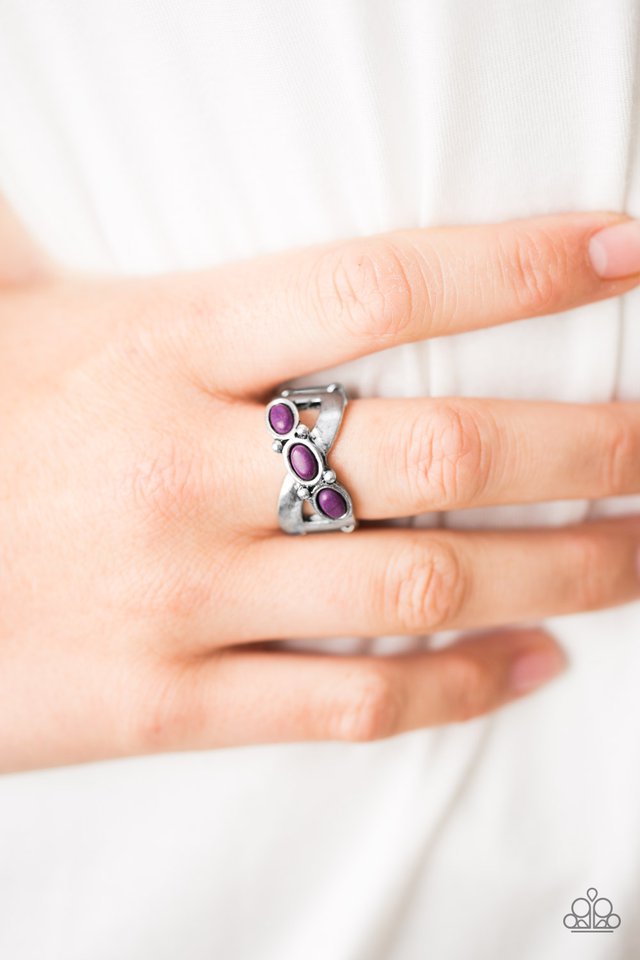Paparazzi ♥ Endless Deserts - Purple ♥ Ring