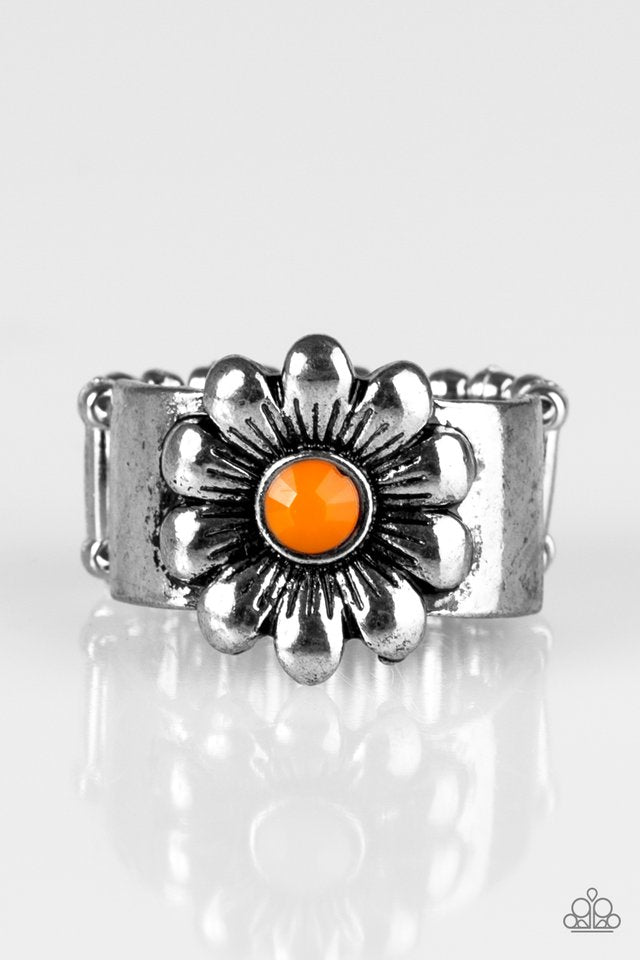 dreamy-fields-orange-p4wh-ogxx-081xx