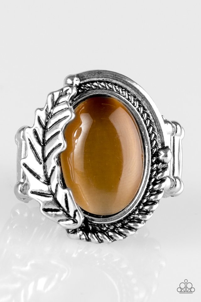 seasonal-shimmer-brown-p4se-bnxx-055xx