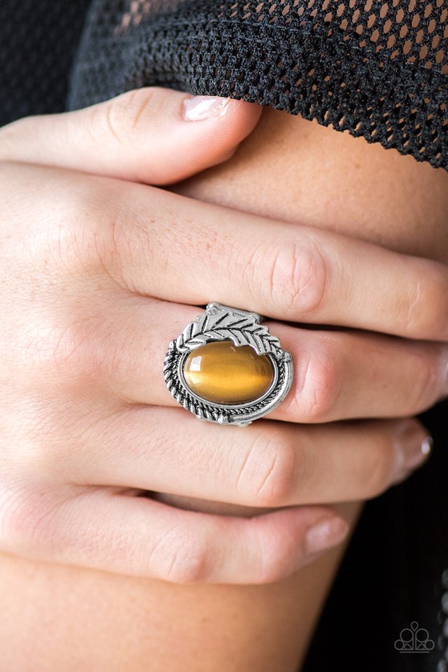 Paparazzi ♥ Seasonal Shimmer - Brown ♥ Ring