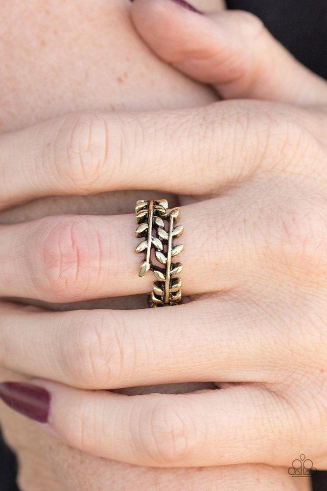 Paparazzi ♥ Port VINE - Brass ♥ Ring