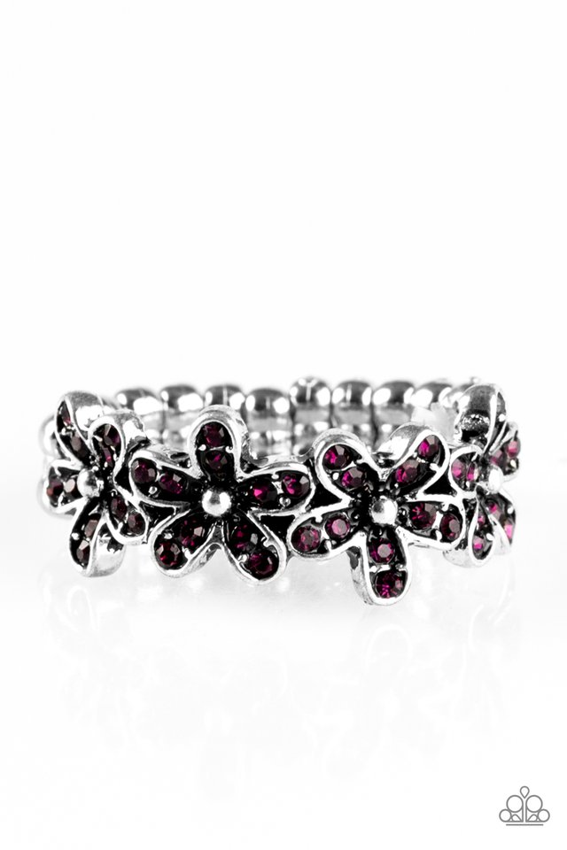 daisy-dazzle-purple-p4da-prxx-032xx