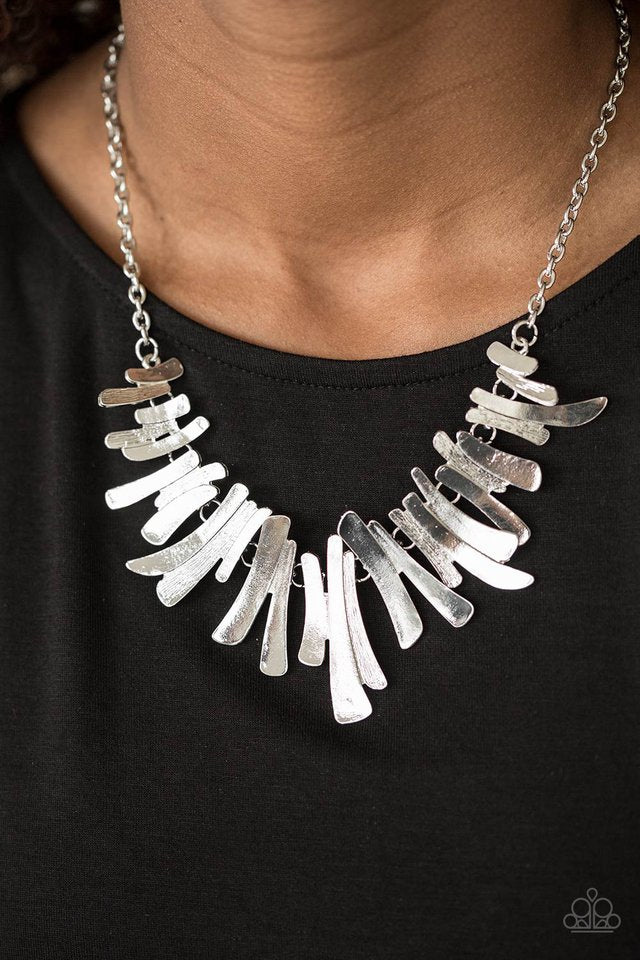 Paparazzi ♥ Hold Some, BOLD Some - Silver ♥ Necklace