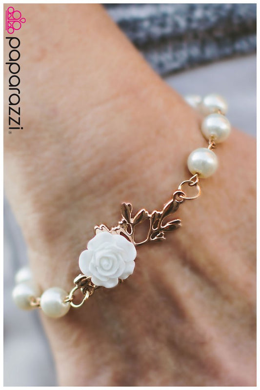 sugar-and-spice-gold-p9wh-wtgd-003fu