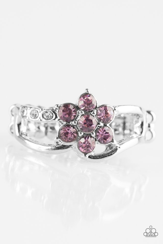 garden-gleam-purple-p4da-prxx-038xx