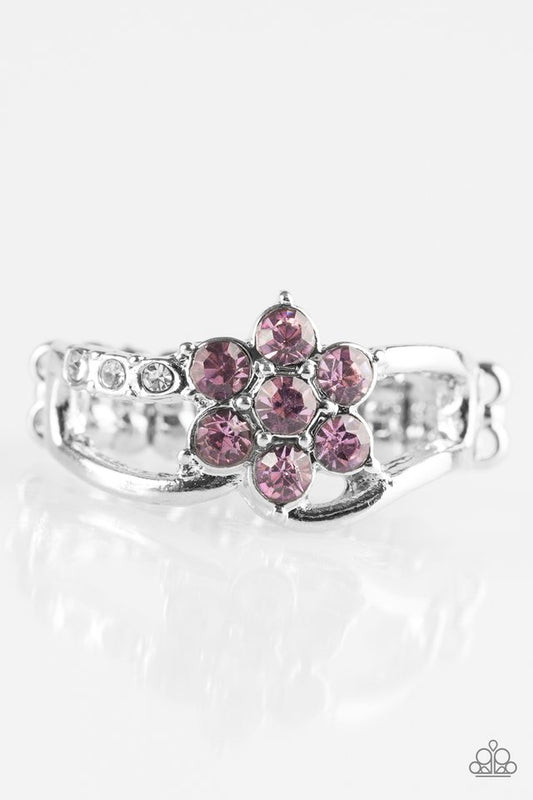 garden-gleam-purple-p4da-prxx-038xx