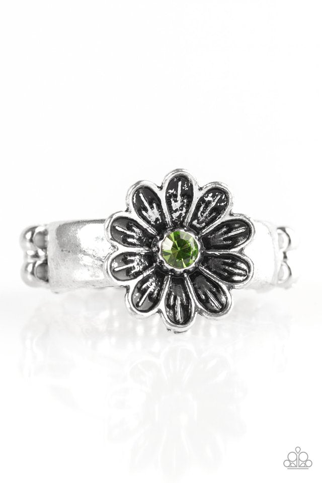 anywhere-bud-here-green-p4da-grxx-043xx