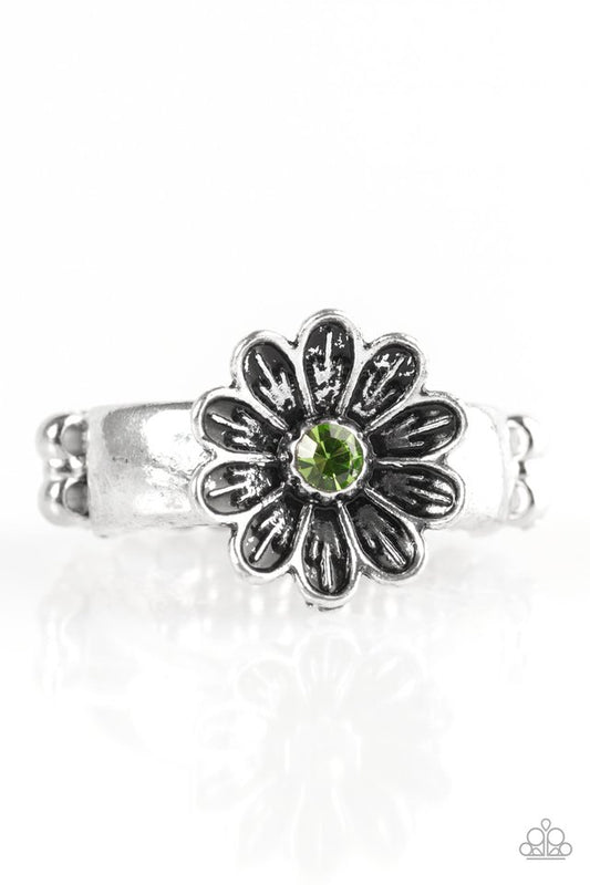 anywhere-bud-here-green-p4da-grxx-043xx