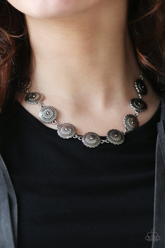 Paparazzi ♥ Pleasantly Prairie - Silver ♥ Necklace
