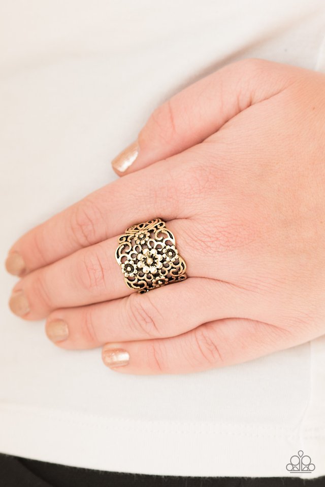 Paparazzi ♥ Divinely Daisy - Brass ♥ Ring