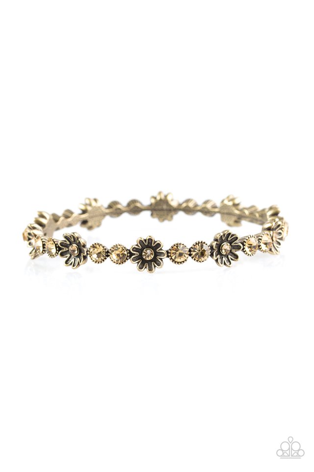 daffodil-diva-brass-p9wh-brxx-087xx