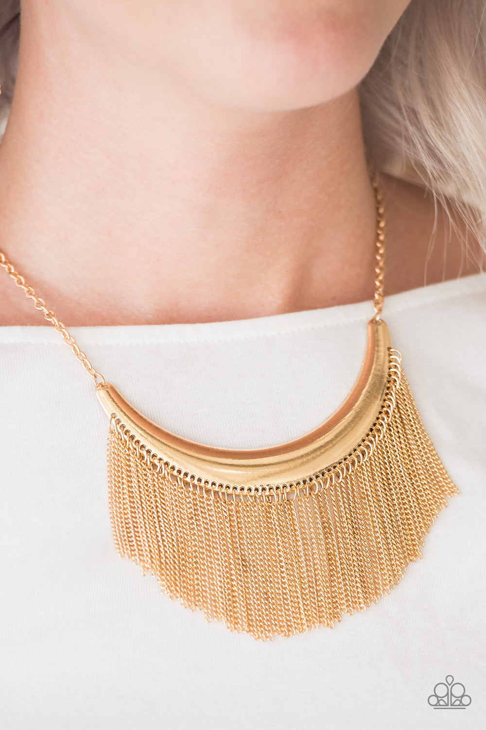 Paparazzi ♥ Zoo Zone - Gold ♥  Necklace
