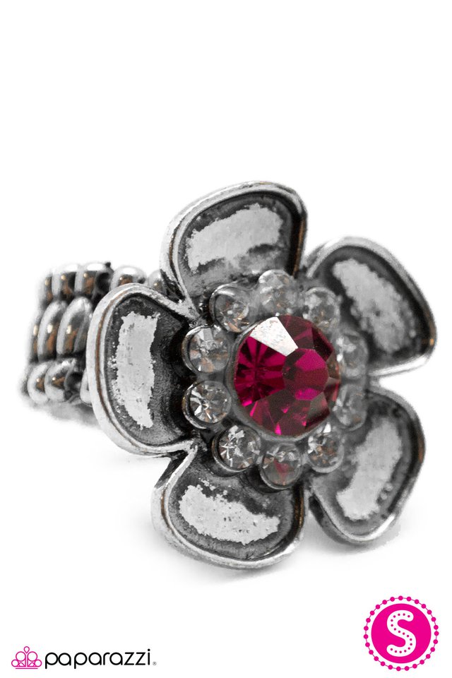 Paparazzi ♥ At the Risk of Looking Fabulous - Pink ♥ Ring