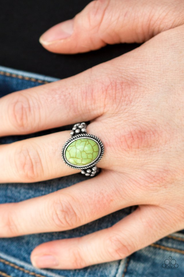 Paparazzi ♥ Stone Age Sophistication - Green ♥ Ring