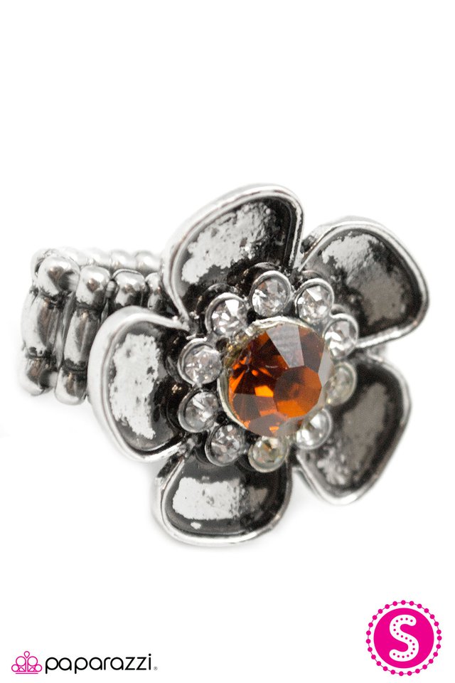Paparazzi ♥ At the Risk of Looking Fabulous - Brown ♥ Ring