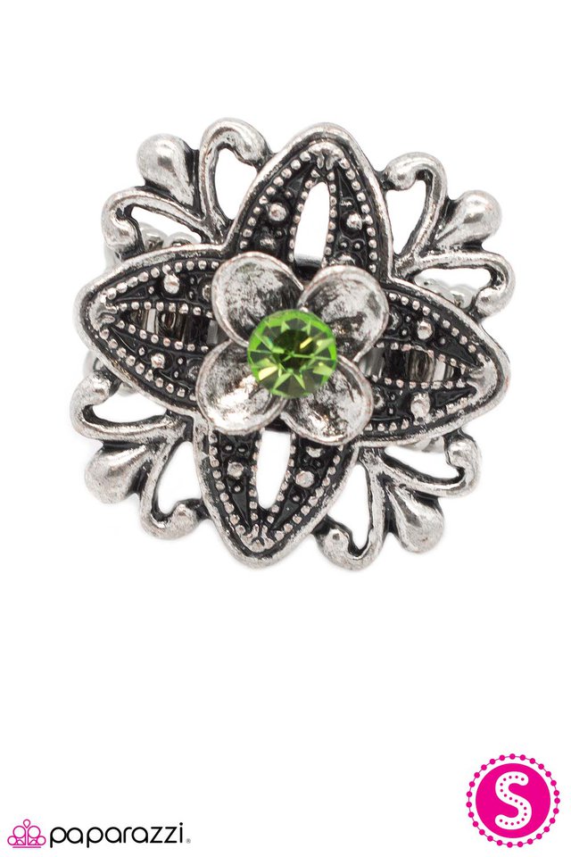 Paparazzi ♥ Never Been Better - Green ♥ Ring