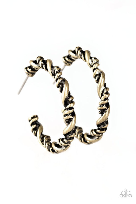 plainly-panama-brass-p5ho-brxx-055xx