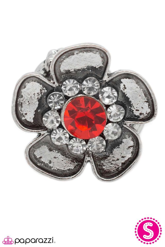 Paparazzi ♥ At the Risk of Looking Fabulous - Red ♥ Ring