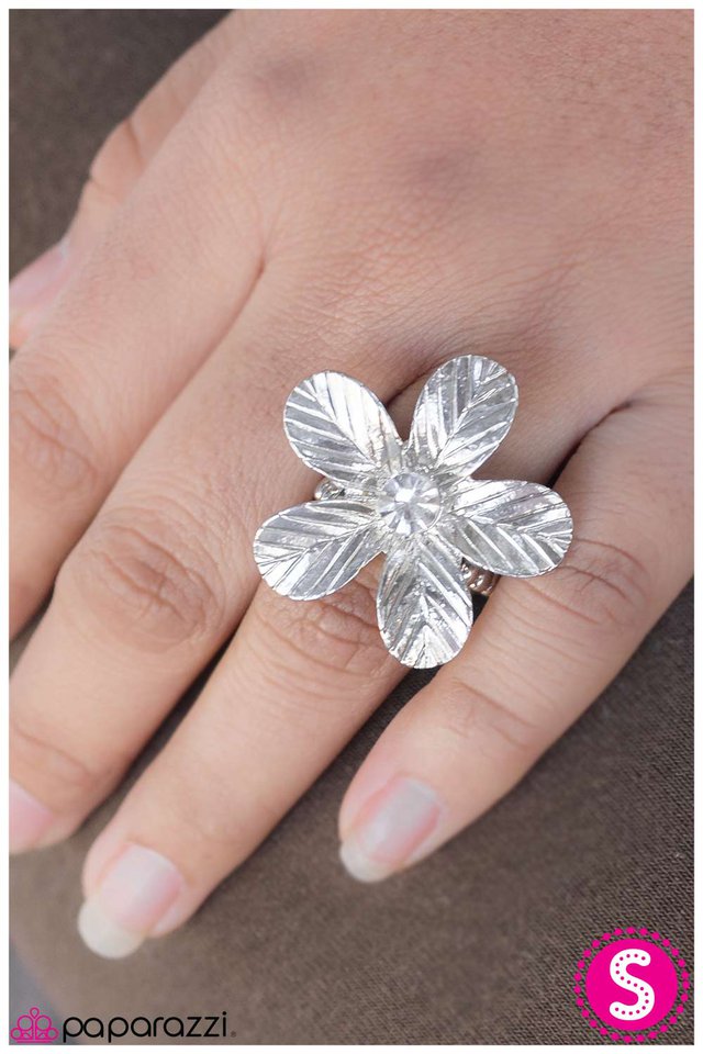 i-am-aa-island-silver-p4wh-svxx-005xx